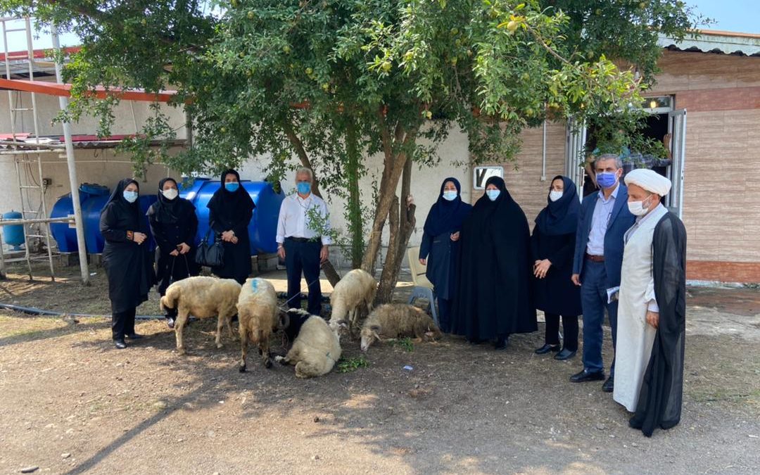 نقش کمک‌های مادی در حمایت از افراد دارای معلولیت؛ گامی کوچک، تغییری بزرگ